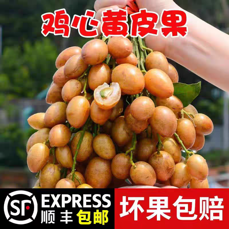 顺丰现摘新鲜速发广东鸡心黄皮果当季酸甜孕妇水果新鲜现发整