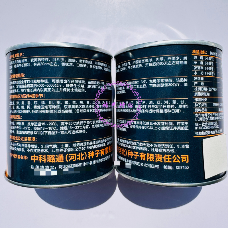 白玉白芹白色芹菜种子蔬菜籽耐热耐寒耐抽苔香味浓优质白芹菜