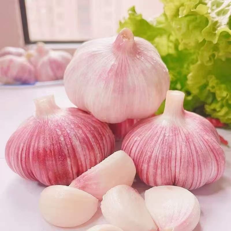 26年新大蒜上市中支持线上线下一件代发社区团购