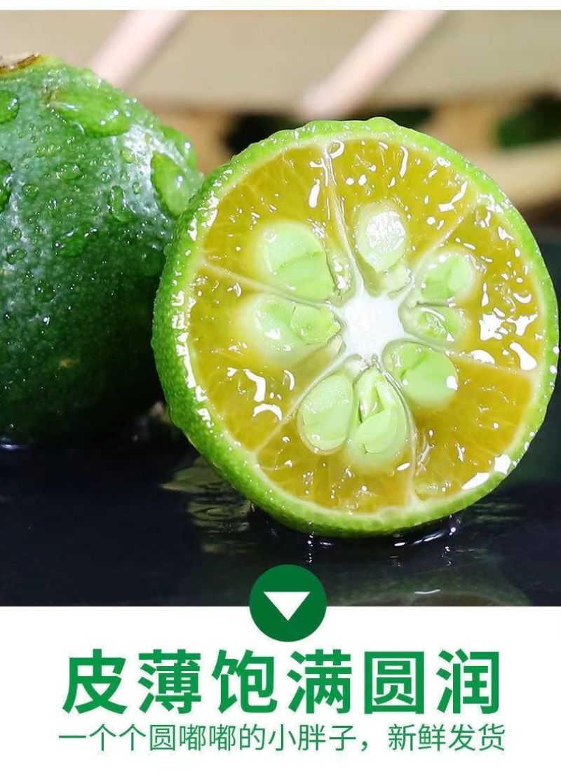 海南小青桔批发全国发货