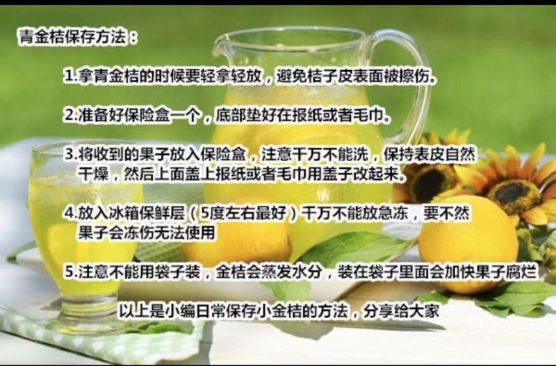 海南小青桔批发全国发货