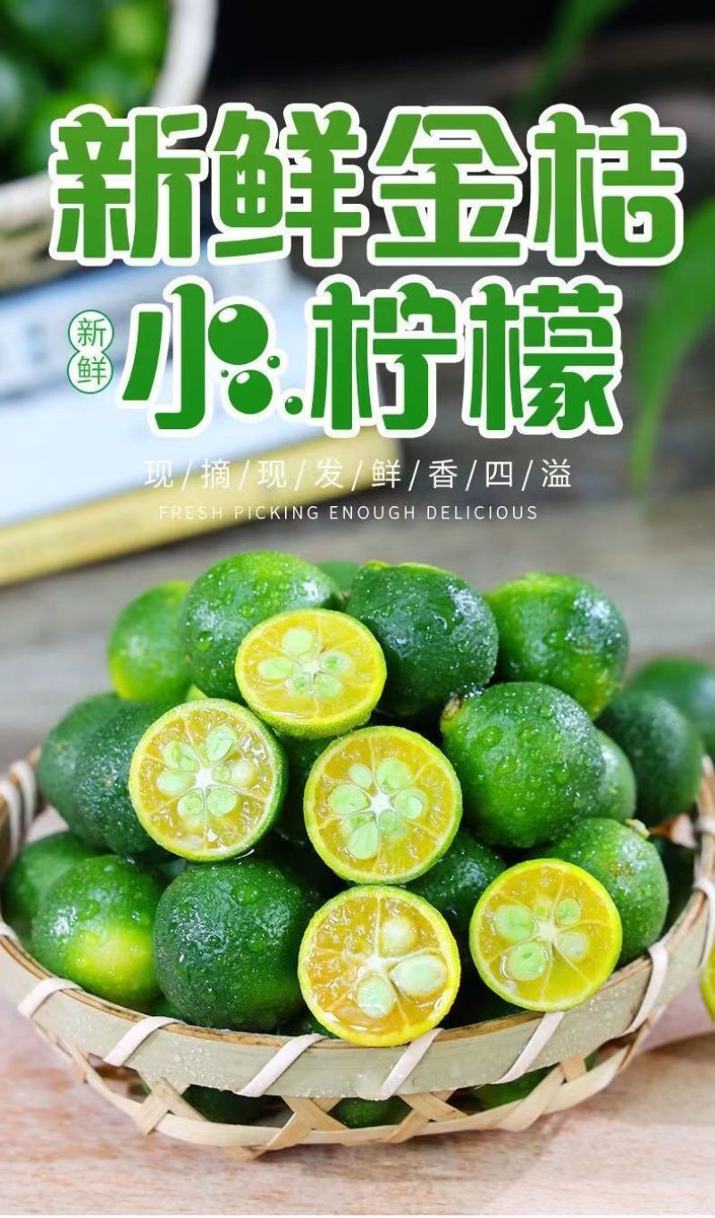 海南小青桔批发全国发货
