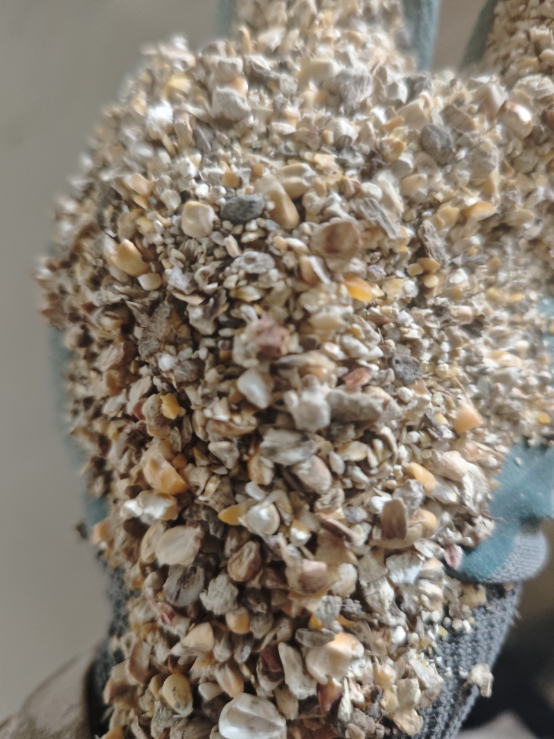 比重筛净粮碎玉米