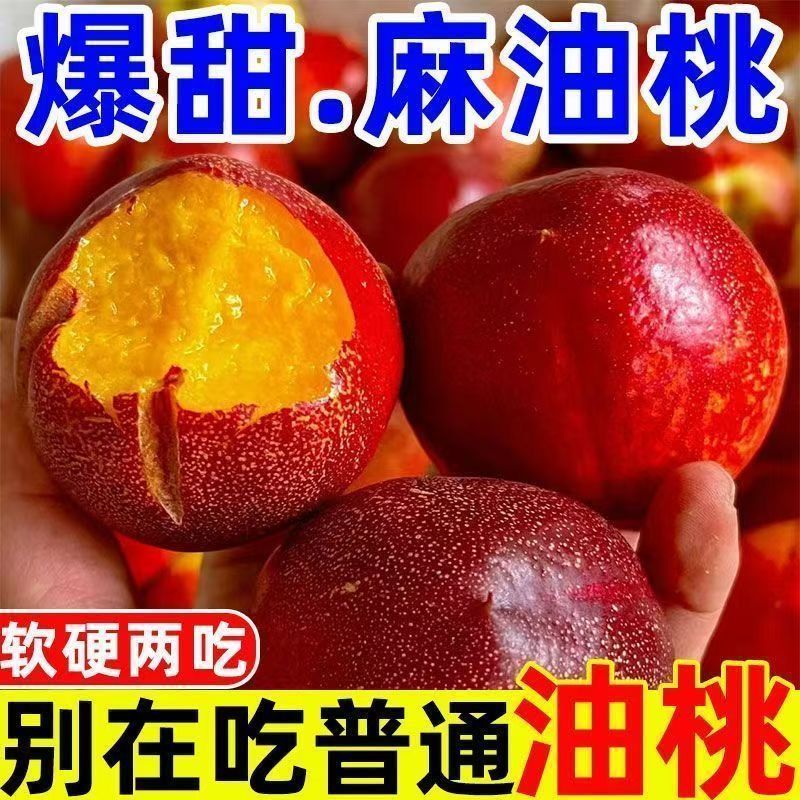 【一件代发】黄肉油桃（日发万单）承接各大电商平台直播