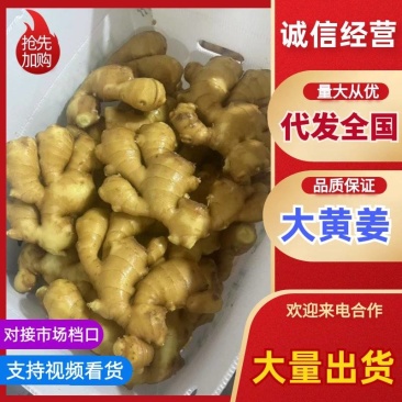 四川【大黄姜老姜】产地批发/随到随装/产地代发全国