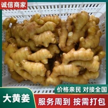 广东【大黄姜老姜】产地批发/随到随装/产地代发全国