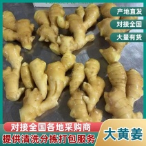 浙江【大黄姜老姜】产地批发/随到随装/产地代发全国