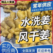 广西【大黄姜老姜】产地批发/随到随装/产地代发全国