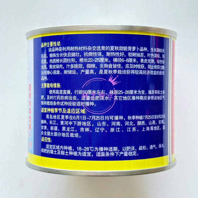 夏秋青玉水果型青萝卜种子夏秋耐热抗病薄皮微辣不糠萝卜