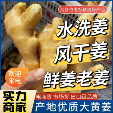 云南【大黄姜老姜】产地批发/随到随装/产地代发全国