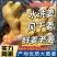 云南【大黄姜老姜】产地批发/随到随装/产地代发全国