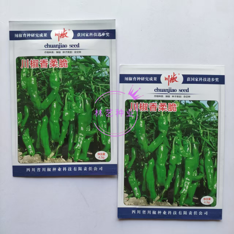 川椒香柔脆薄皮小羊角种子品种种子早熟辣味适中大田种植品种