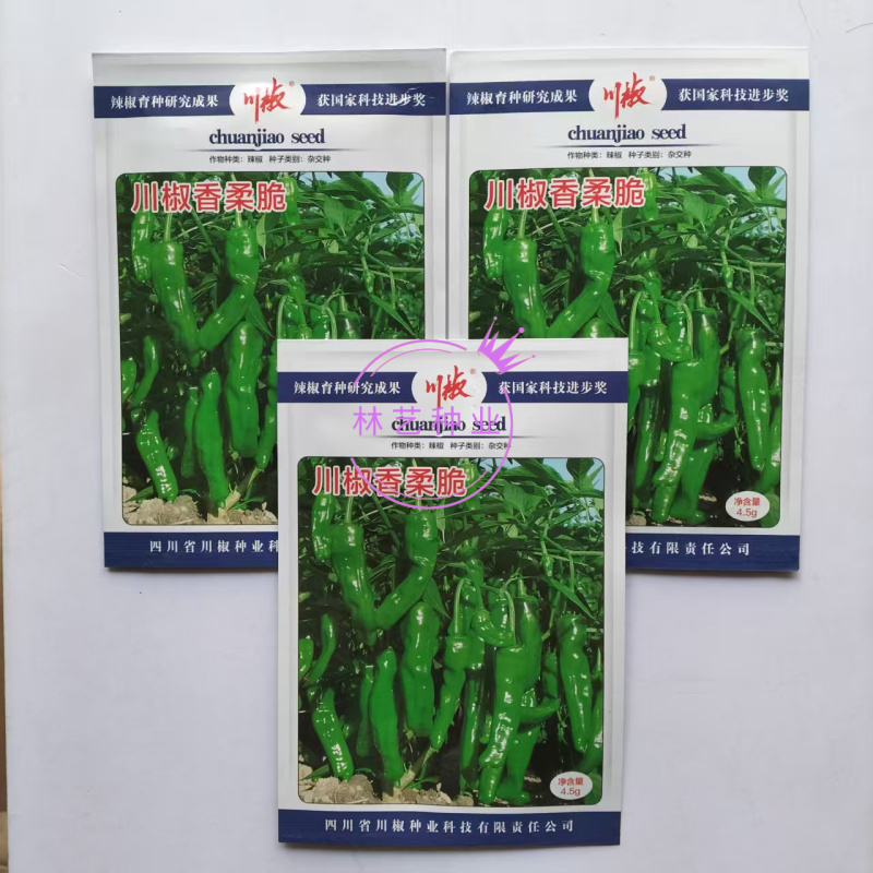 川椒香柔脆薄皮小羊角种子品种种子早熟辣味适中大田种植品种