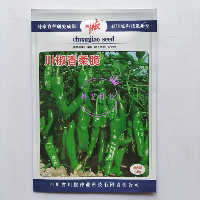 川椒香柔脆薄皮小羊角种子品种种子早熟辣味适中大田种植品种
