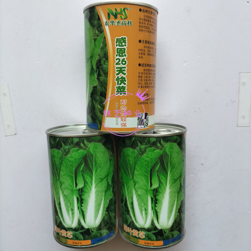台湾感恩26天快菜种子耐热耐湿小白菜农家四季蔬菜种籽