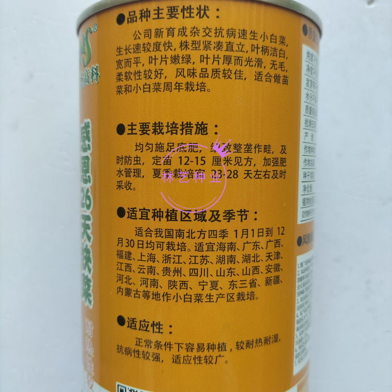 台湾感恩26天快菜种子耐热耐湿小白菜农家四季蔬菜种籽
