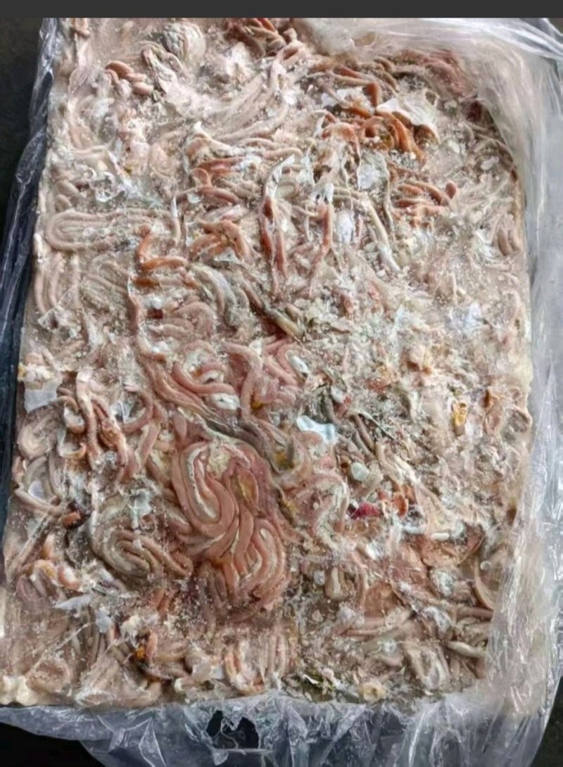 原鸭肠黑鸭肠规格齐全价格美丽欢迎咨询来电优