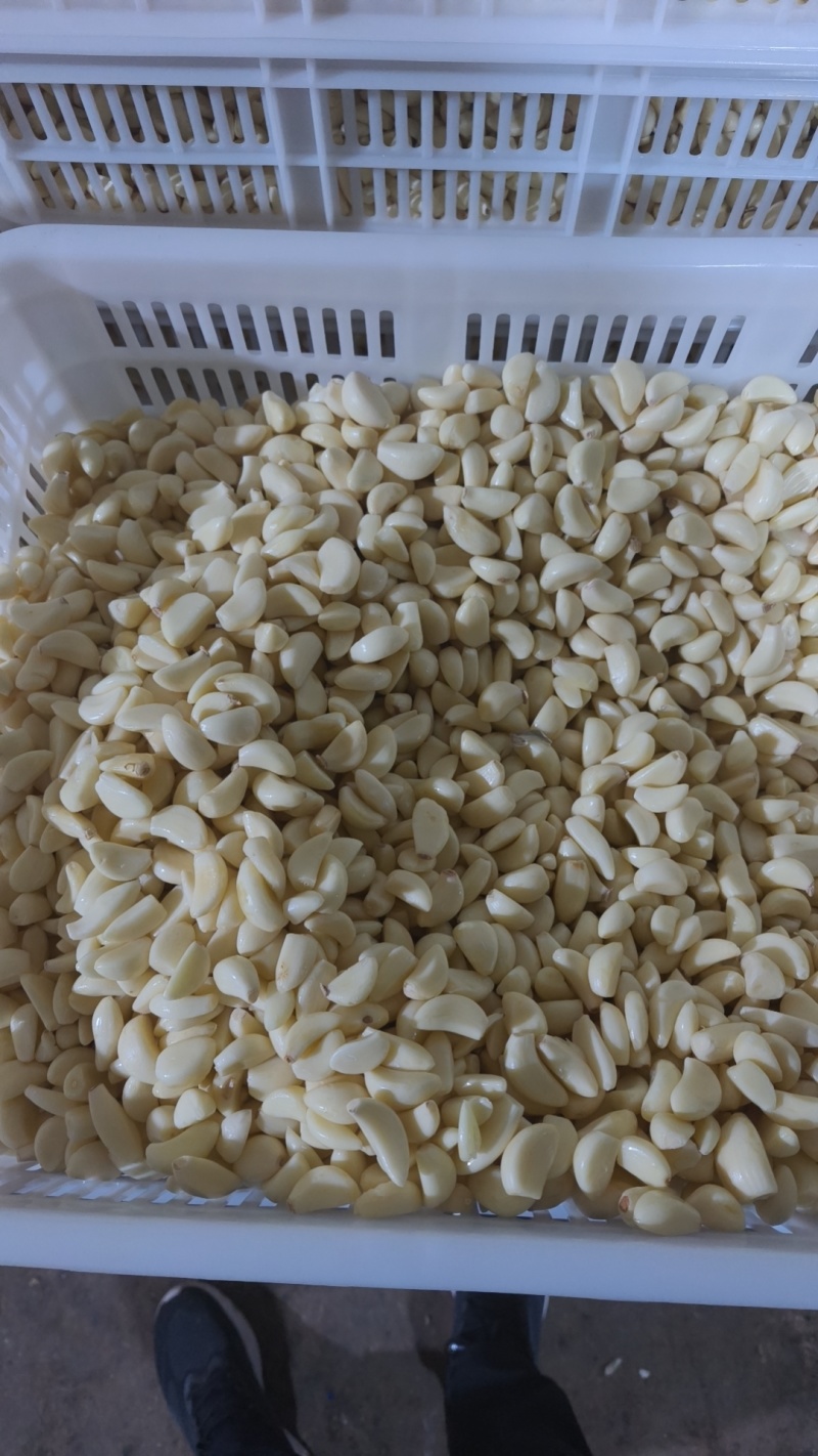 精品工厂米无糖无冻瓣色泽鲜亮