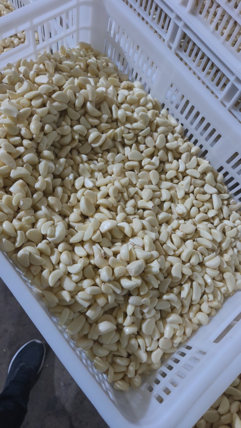 精品工厂米无糖无冻瓣色泽鲜亮