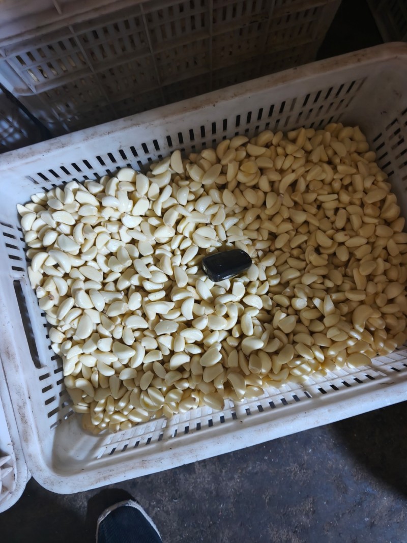 精品工厂米无糖无冻瓣色泽鲜亮