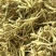 品质金银花茶金银花茶基地批发直供山银花茶散装