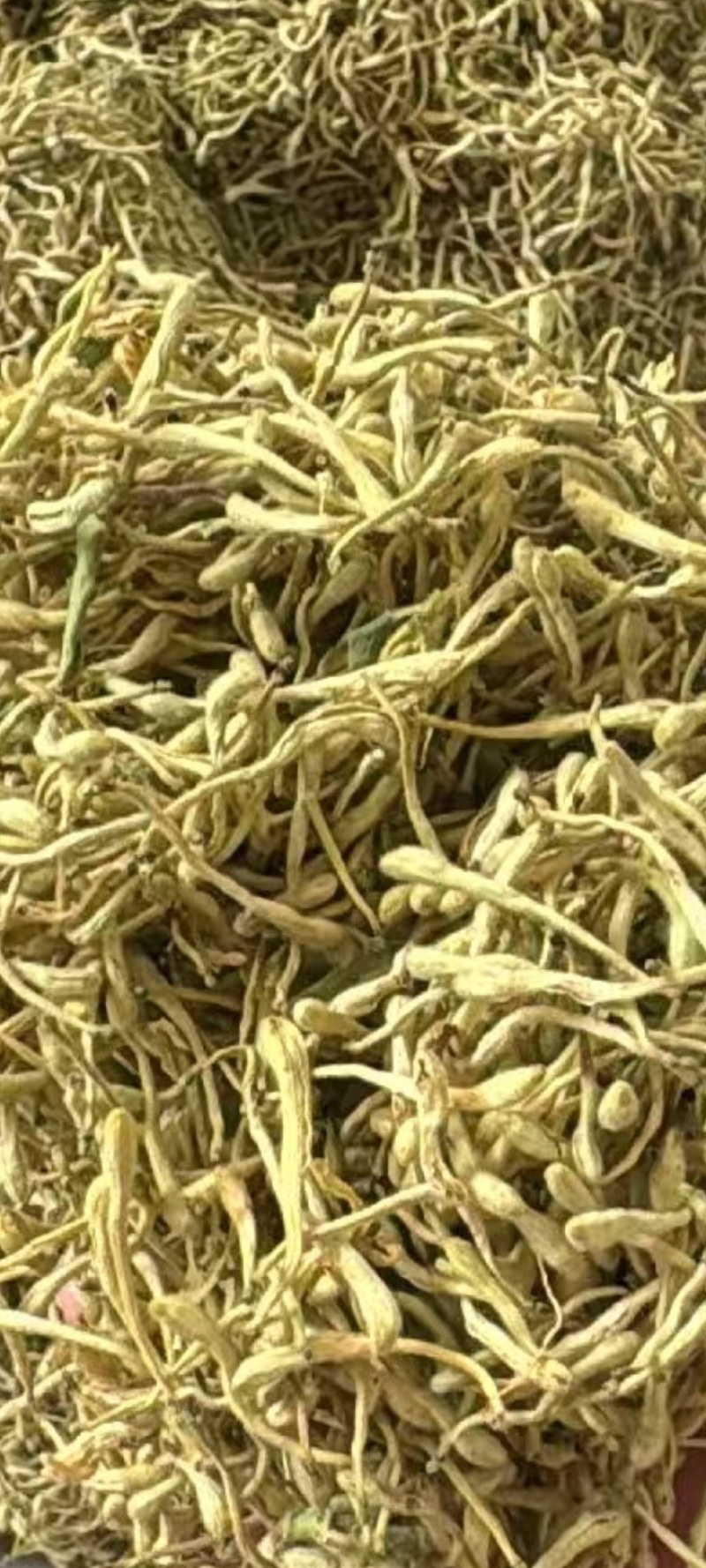 品质金银花茶金银花茶基地批发直供山银花茶散装