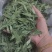 甜叶菊正品甜叶菊甜叶菊茶批发各种中药材养生花茶