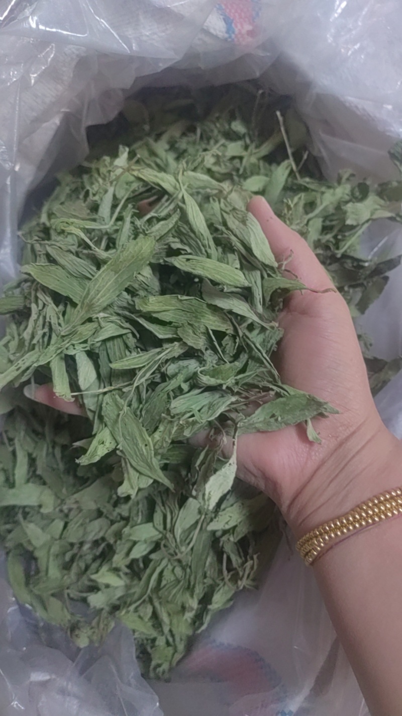 甜叶菊正品甜叶菊甜叶菊茶批发各种中药材养生花茶