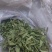甜叶菊正品甜叶菊甜叶菊茶批发各种中药材养生花茶