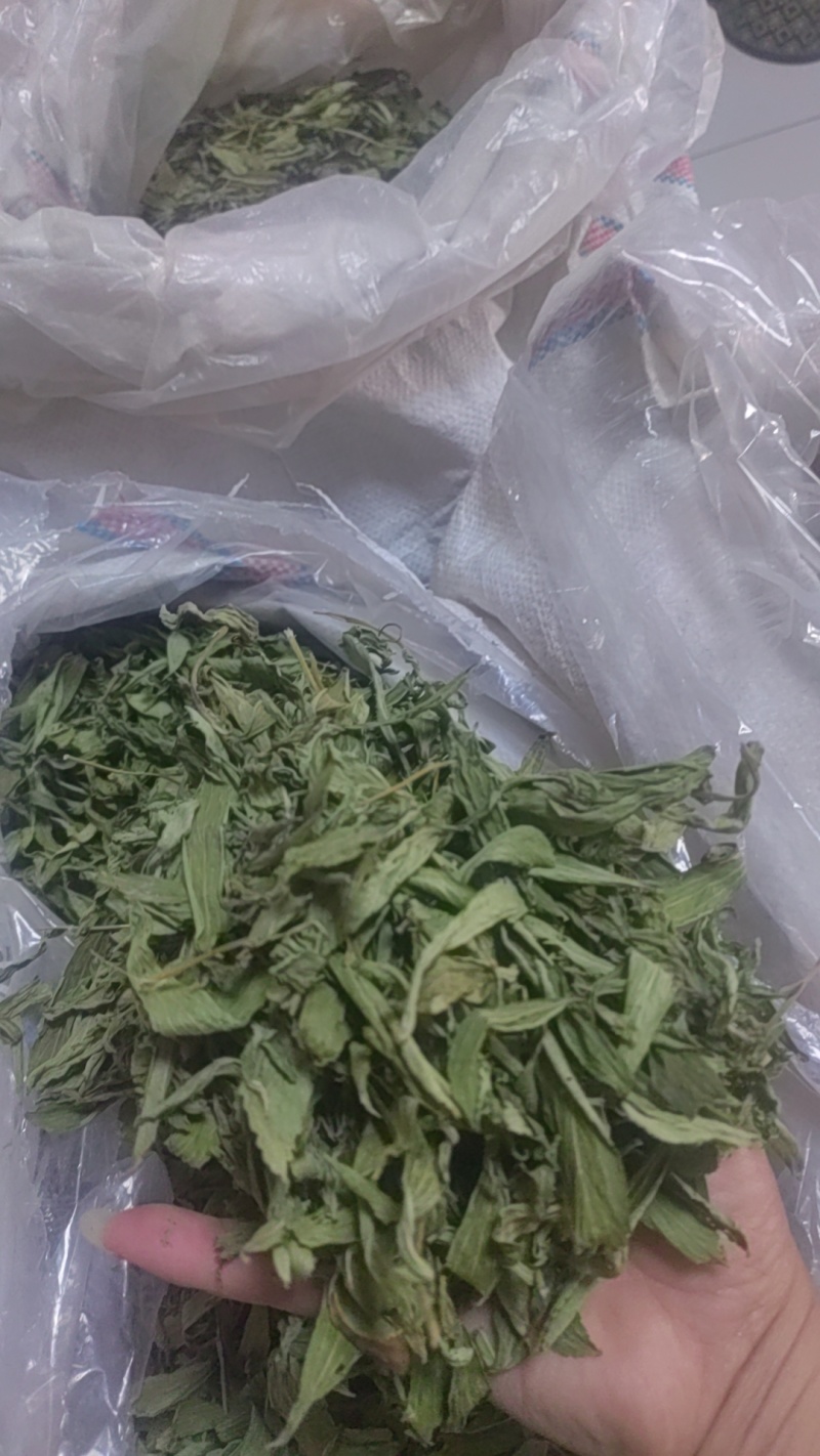 甜叶菊正品甜叶菊甜叶菊茶批发各种中药材养生花茶