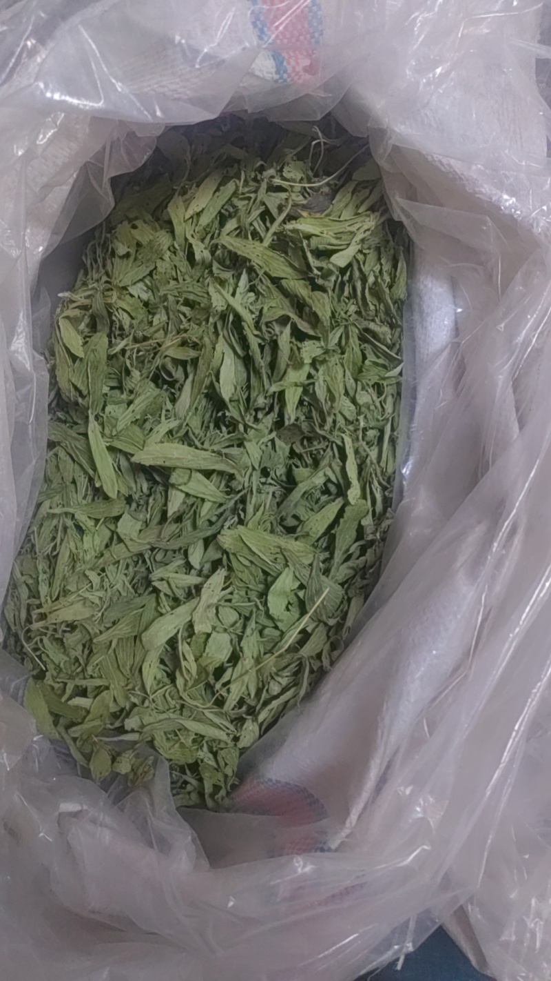 甜叶菊正品甜叶菊甜叶菊茶批发各种中药材养生花茶