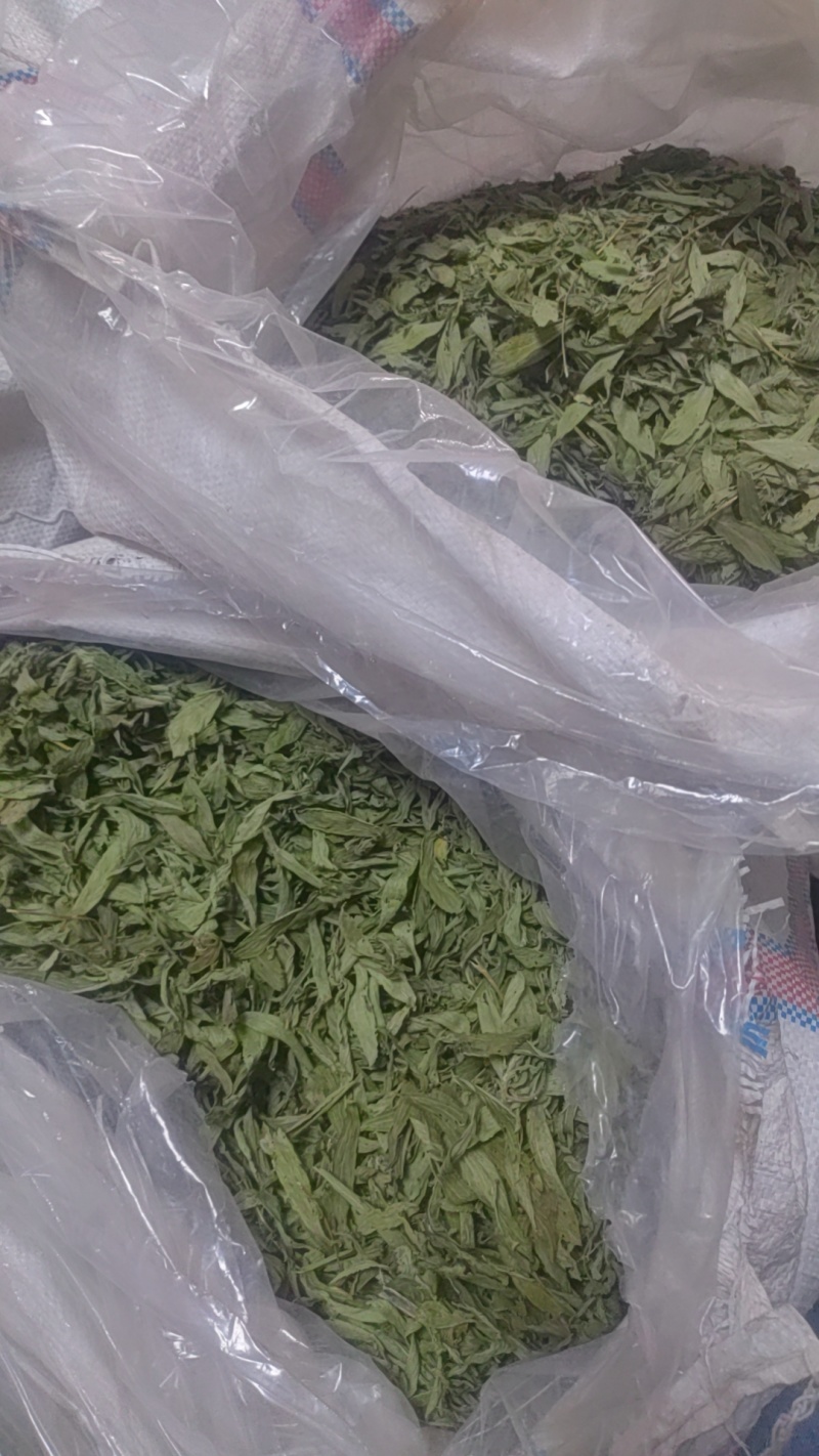 甜叶菊正品甜叶菊甜叶菊茶批发各种中药材养生花茶