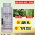 19%溴氰虫酰胺辣椒(苗床)烟粉虱杀虫剂胃毒触杀内吸杀虫