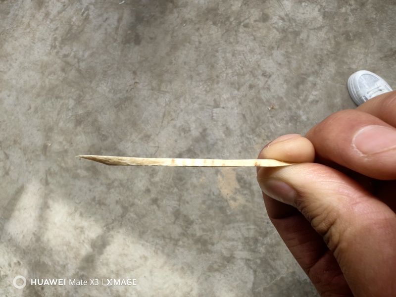 1.2，1.5精品黄芪大片可装礼盒