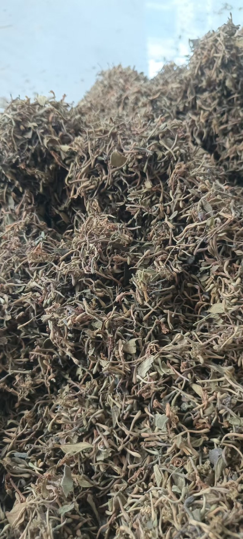 山银花统货价格合适