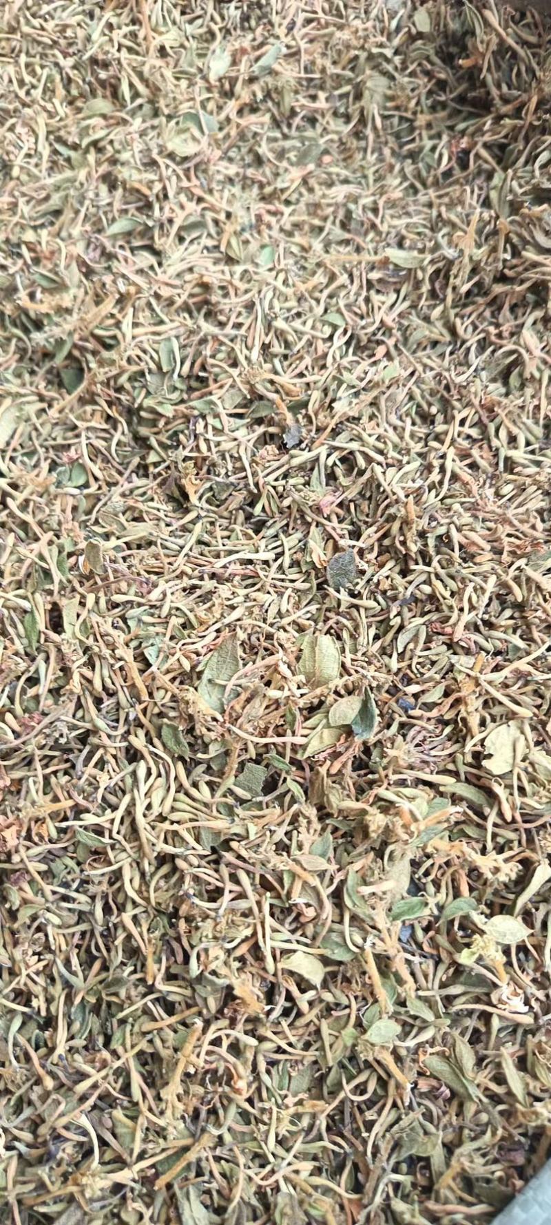 山银花统货价格合适