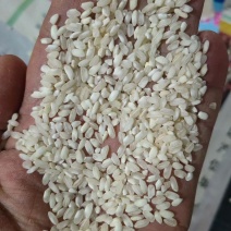 圆早大米粉米