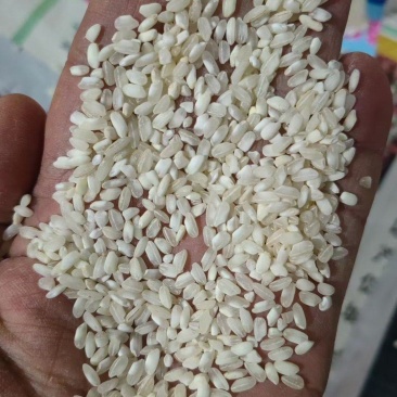 圆早大米粉米