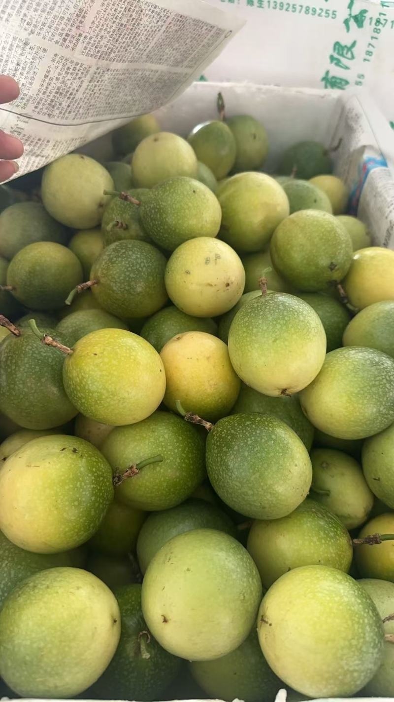 钦蜜九号黄金百香果，纯甜无酸，电商代发，市场直发。