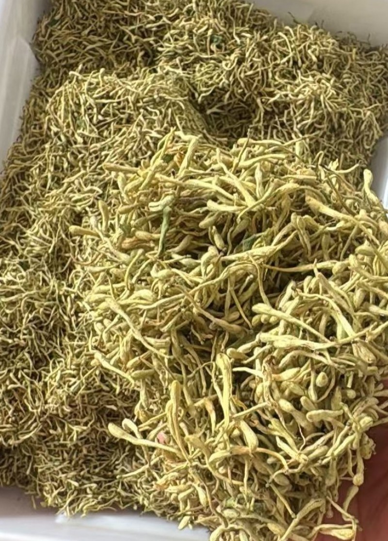 品质金银花茶金银花茶基地批发直供山银花茶散装