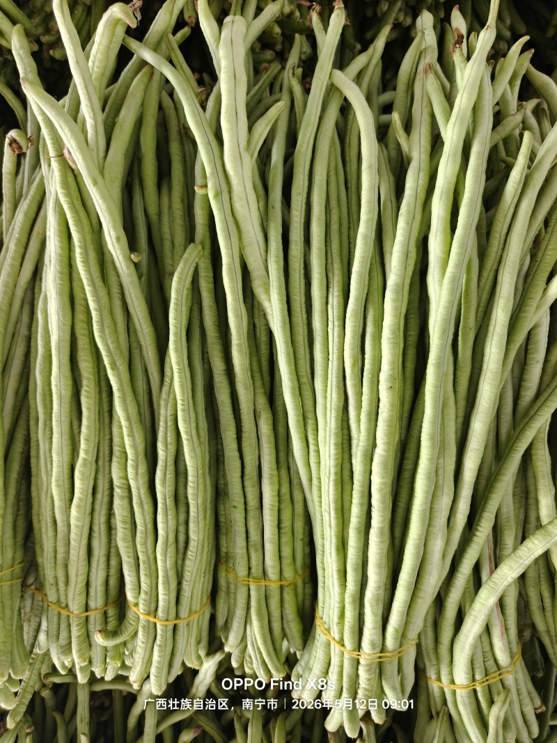 甜豆角