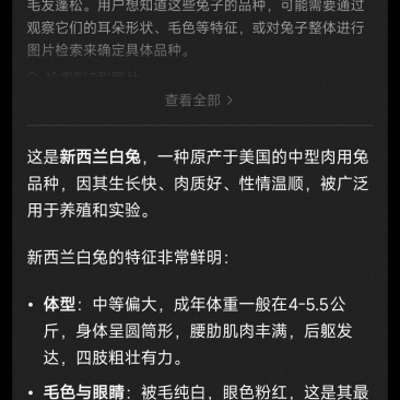 新西兰肉兔种兔，散养肉兔，健康活泼