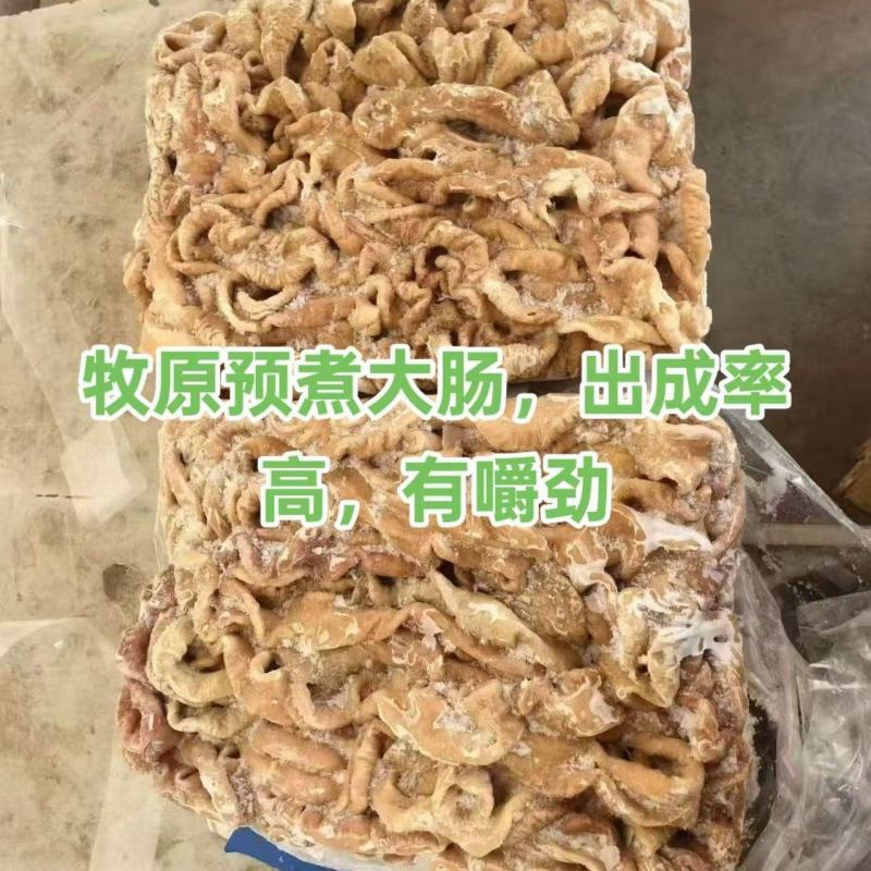 原色大肠