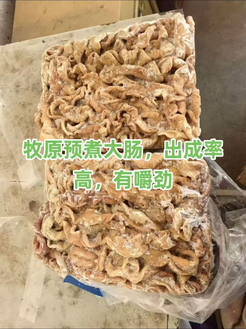 原色大肠
