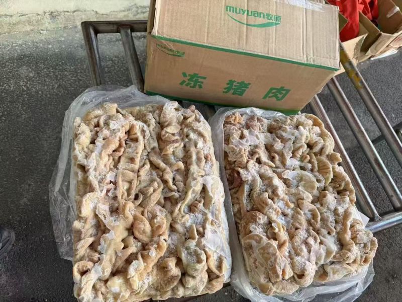 原色大肠