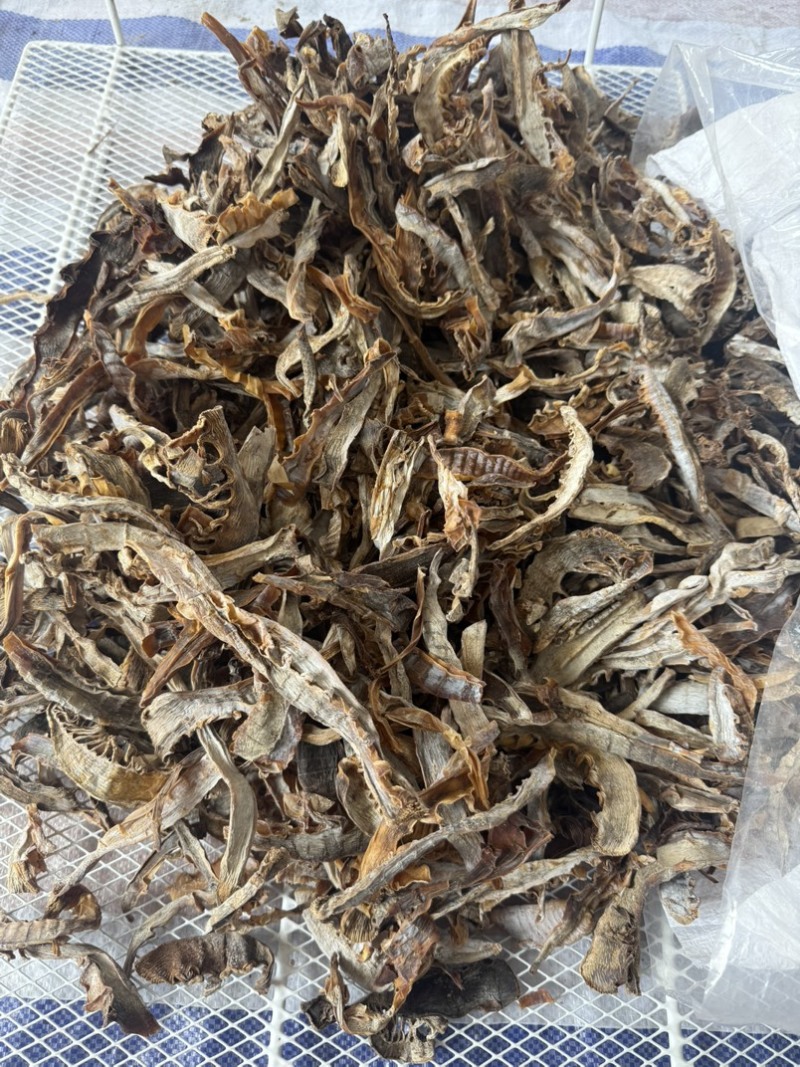 浙江温州泰顺高山农户笋干