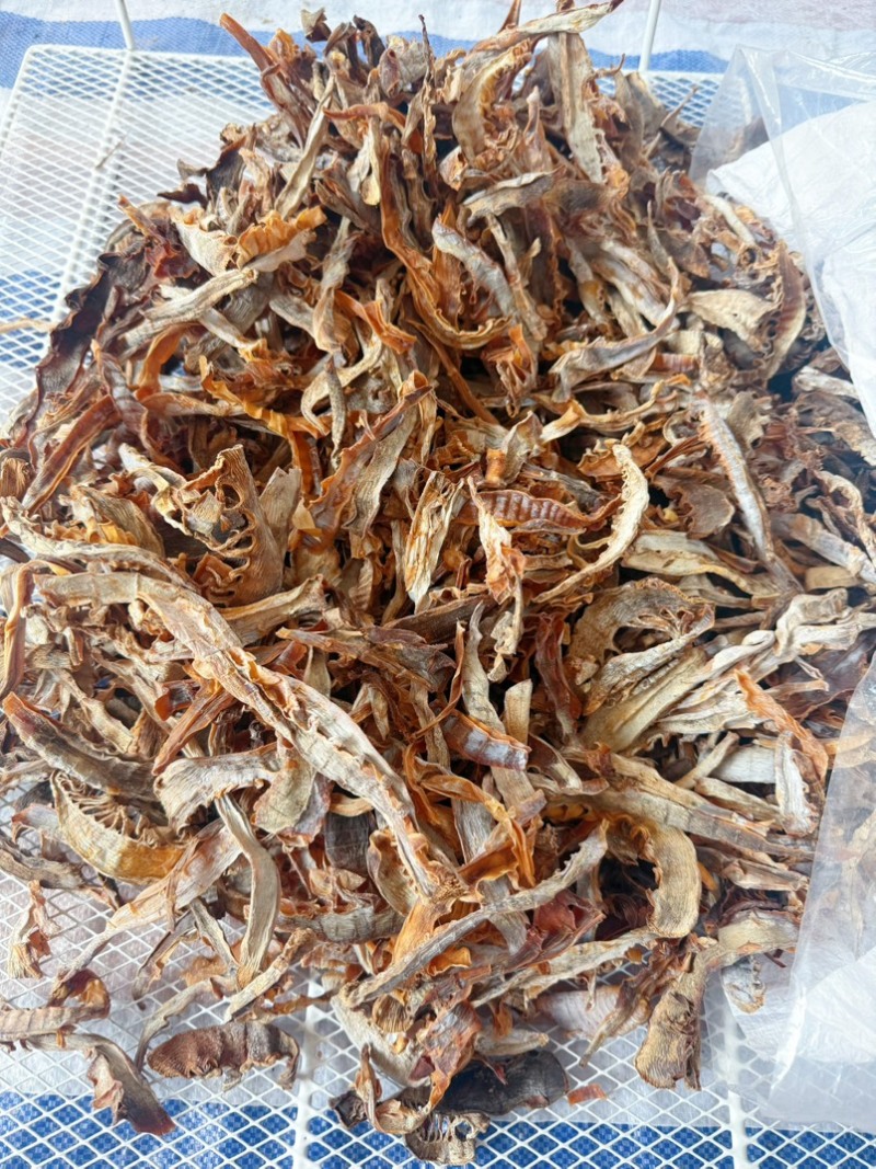 浙江温州泰顺高山农户笋干