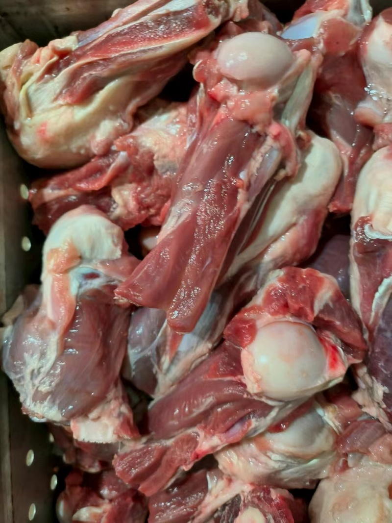 蒙凯路肉棒骨