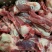 蒙凯路肉棒骨