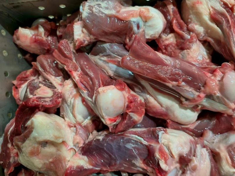 蒙凯路肉棒骨